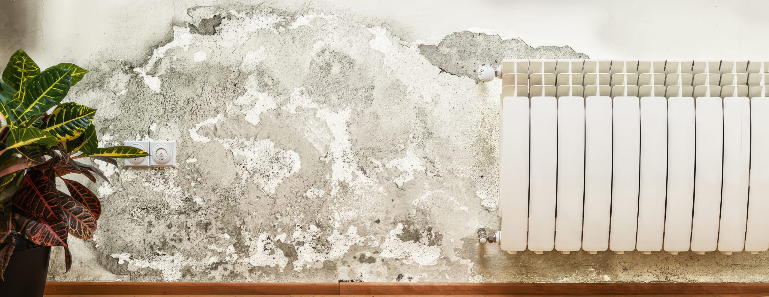 Nem Kontrolünün İhmal Edilmesi